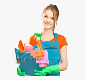 Professional CLEANER