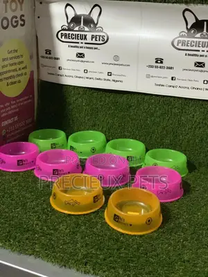 Plastic Puppy Bowls
