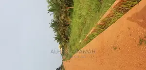 Land for Sale at Brofoyedro Ampemanim Kokoben