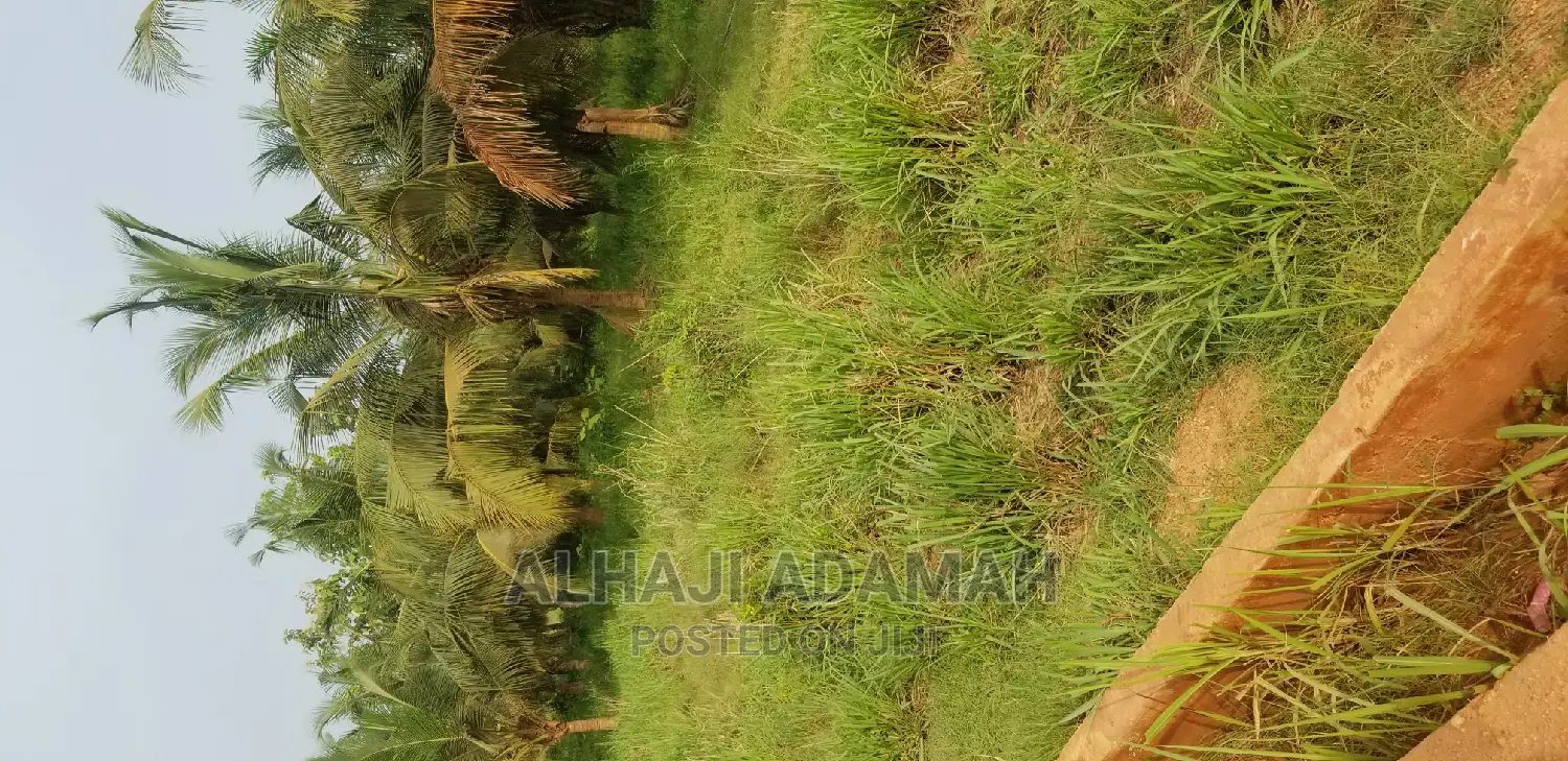 Land for Sale at Brofoyedro Ampemanim Kokoben