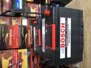 17 Plate Bosch Batteries