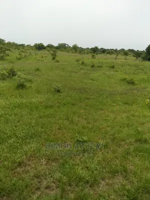 Farm Land for Lease