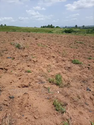 Alpha Properties Real Estate Land 4sale at Amasaman Obom Ashifla