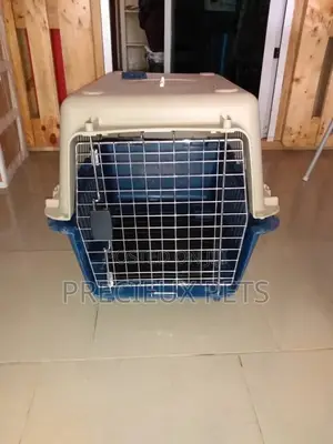Mobile Plastic Crate/Cage