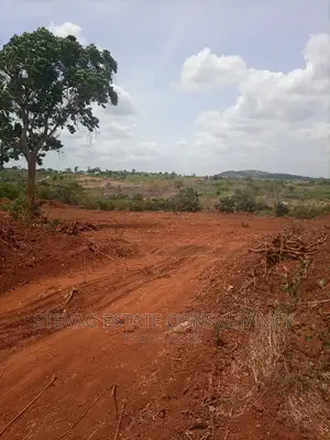 Alpha Properties Real Estate Land at Kasoa Akraman 4sale