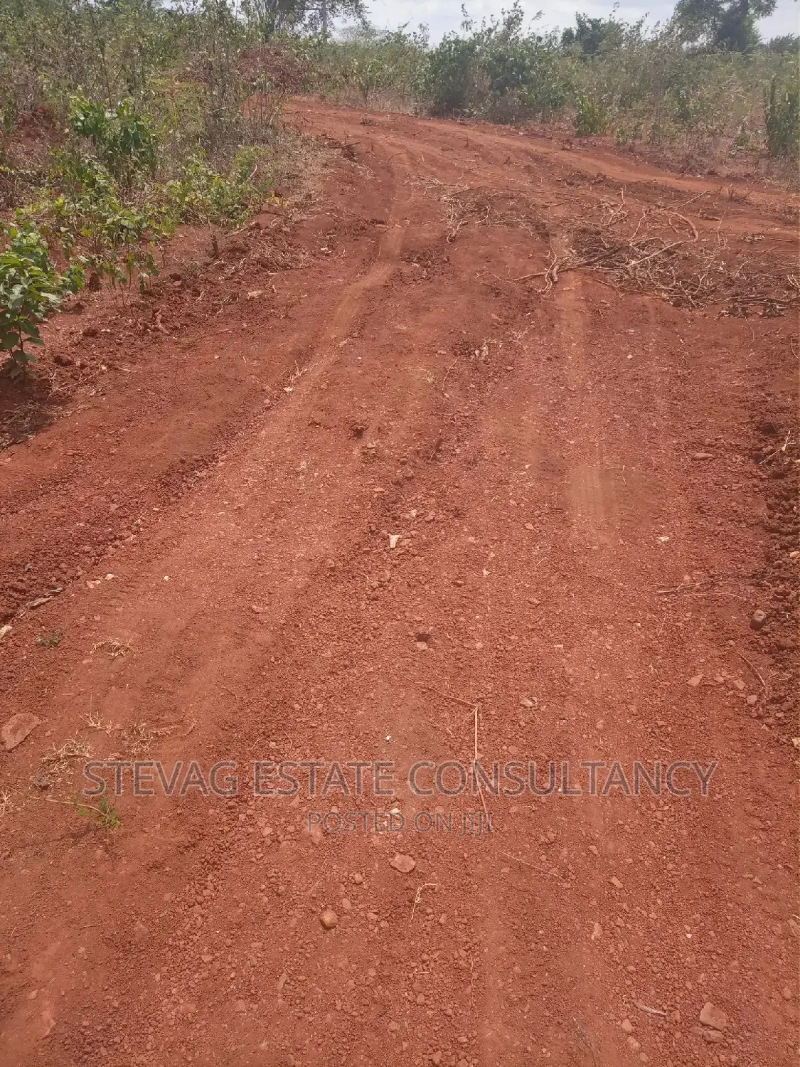 Alpha Properties Real Estate Land at Kasoa Akraman 4sale