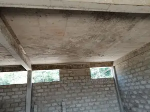 Steel Decking/Plywood No/Marine Wood No/2by4 No/Woods