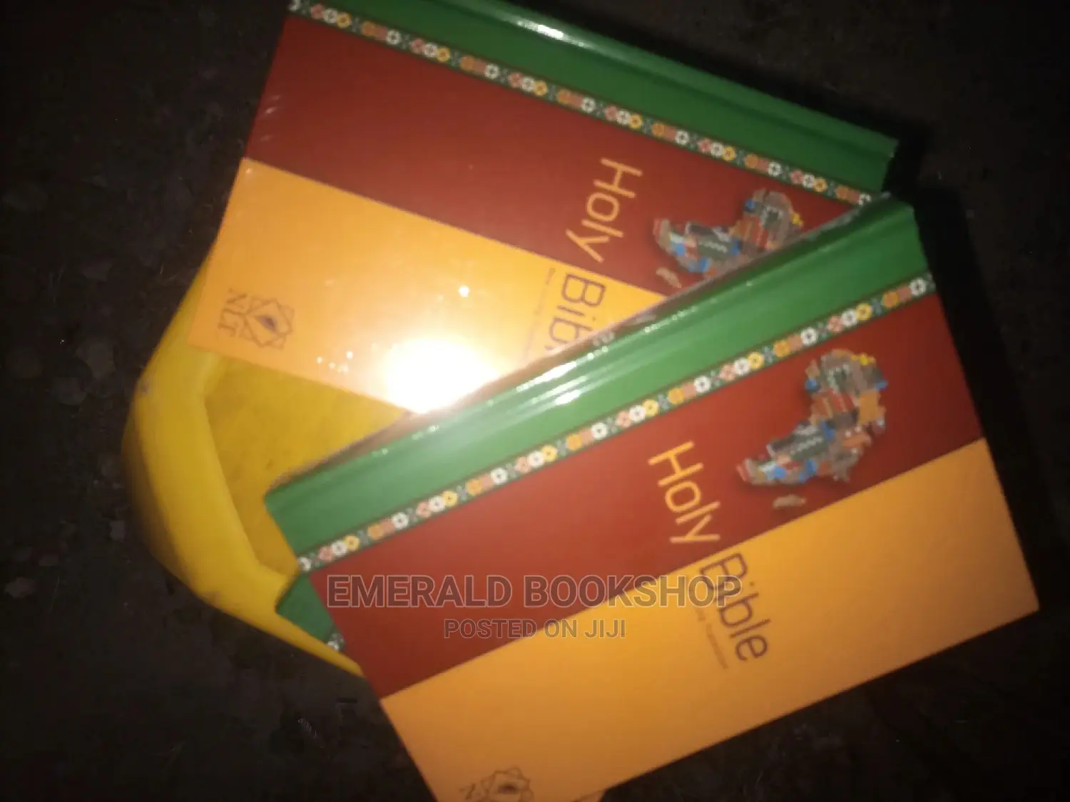 Holy Bible NLT Version