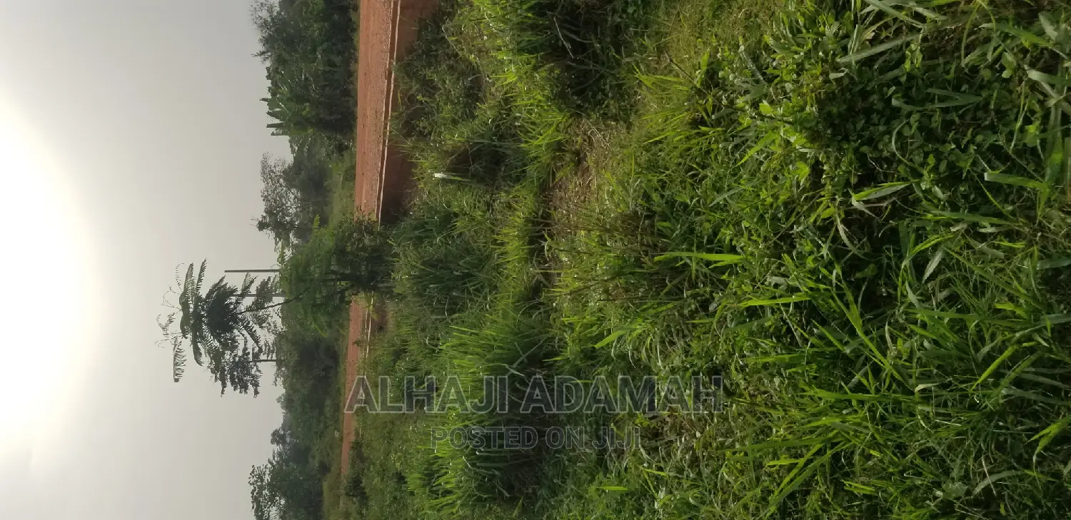 Land for Sale at Santa'si Darko