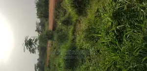 Land for Sale at Santa'si Darko