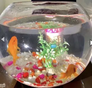 Aquarium Fish Bowl