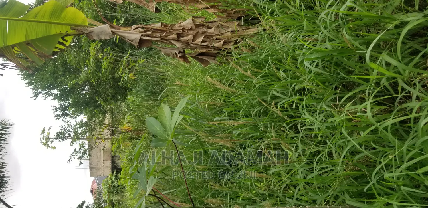 Plot for Sale at Darko New Site in Kumasi