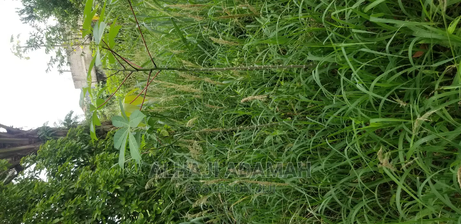 Plot for Sale at Darko New Site in Kumasi
