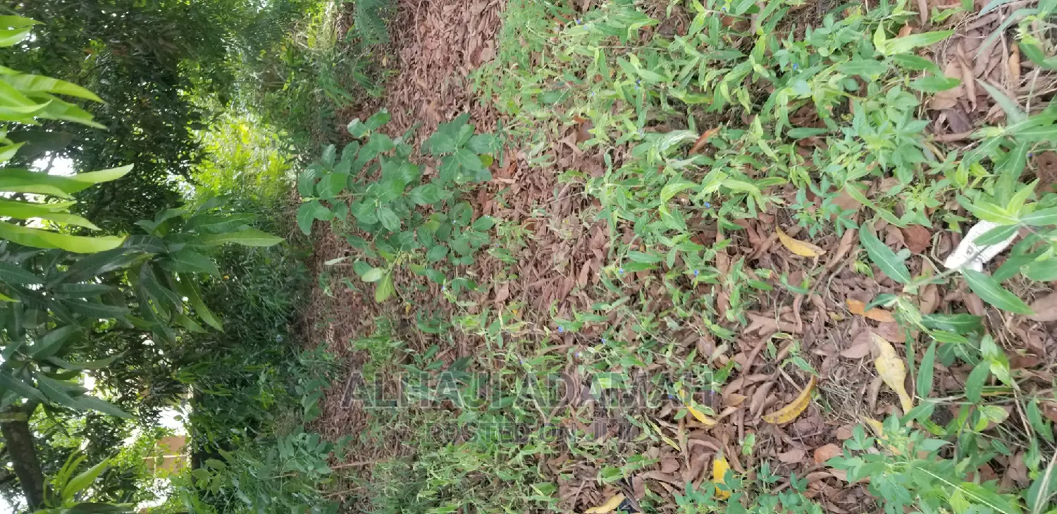Plot for Sale at Darko New Site in Kumasi