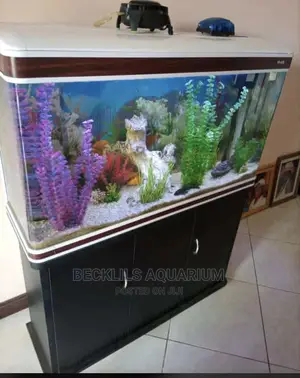 Aquarium Tank