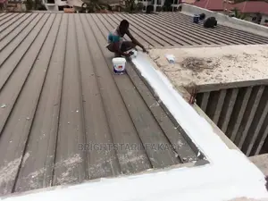 Roof Leakage Repair Specialist