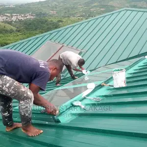 Roof Leakage Repair Specialist