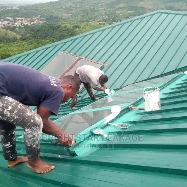 Roof Leakage Repair Specialist
