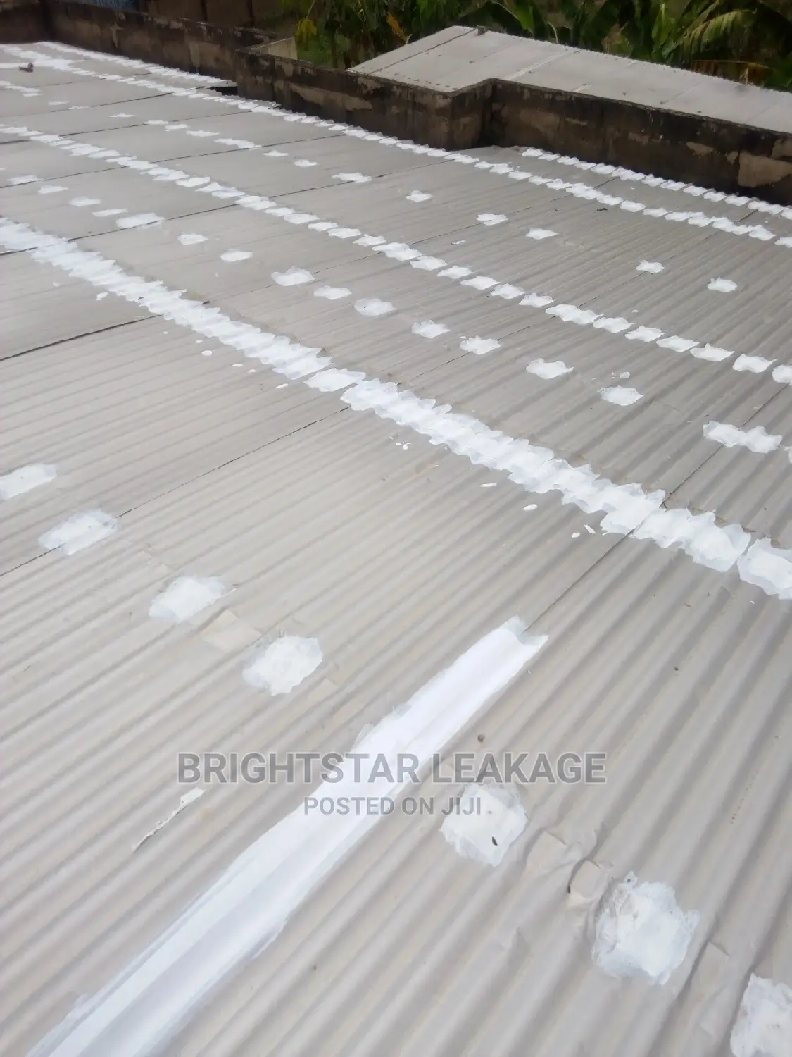 Roof Leakage Repair Specialist
