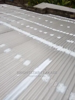 Roof Leakage Repair Specialist