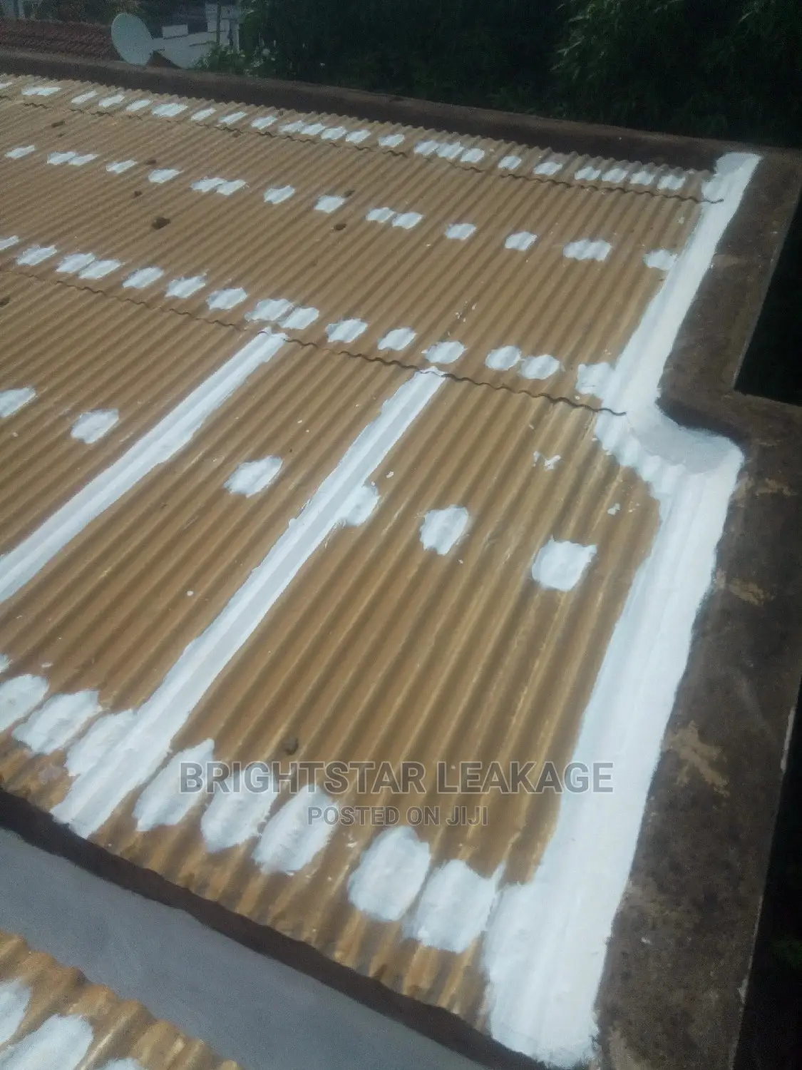 Roof Leakage Repair Specialist