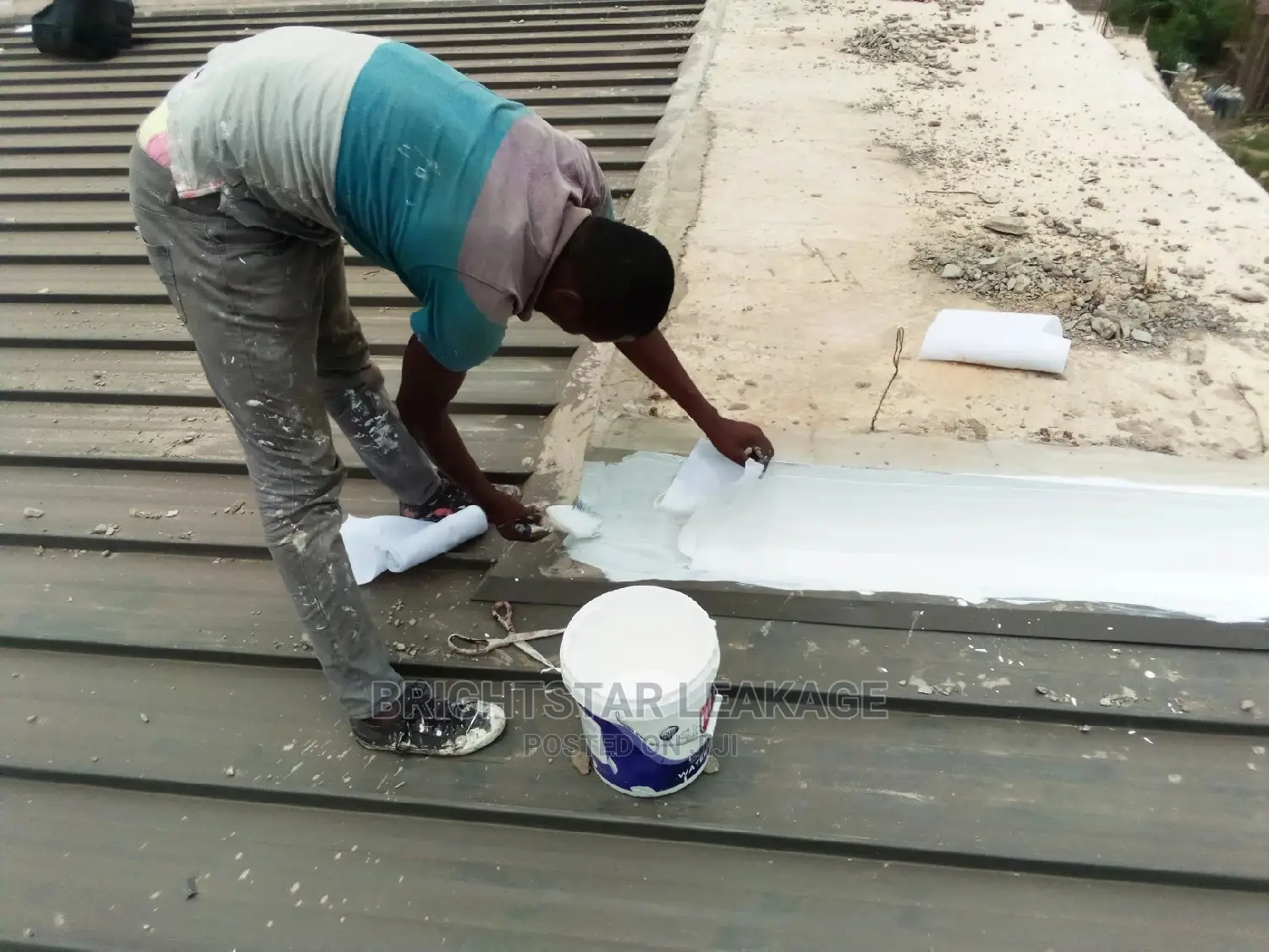 Roof Leakage Repair Specialist