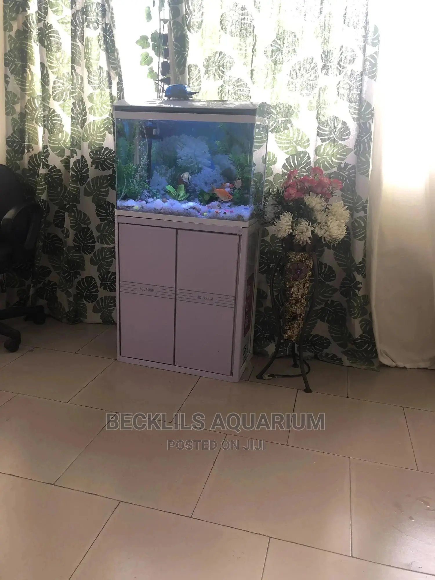 Aquariums and Fish Bowl