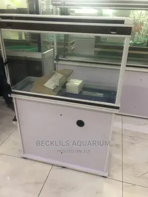 Aquariums and Fish Bowl