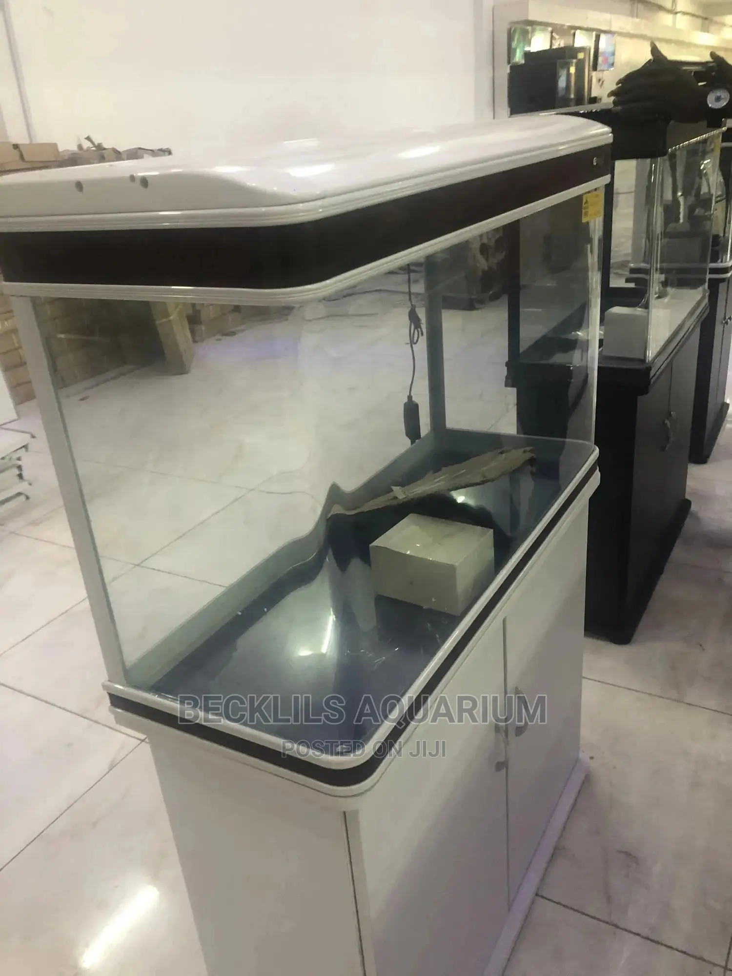 Aquariums and Fish Bowl