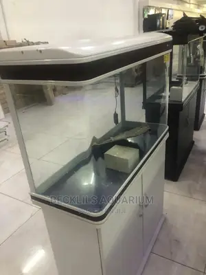 Aquariums and Fish Bowl
