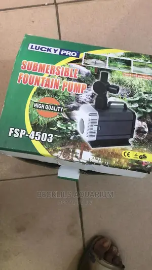 Submersible Pump