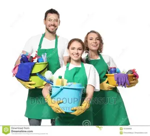 DO You Need Cleaners ?