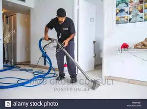 Champion CLEANERS