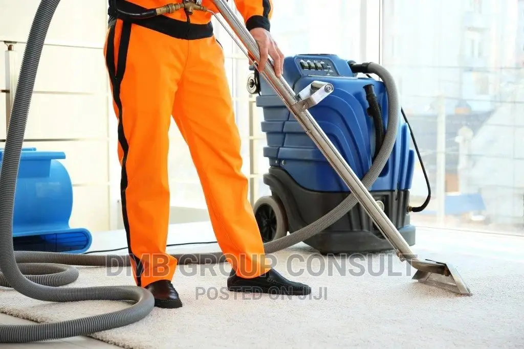 24/7 House to House Cleaners