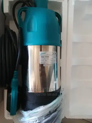 Leo Submersible Water Pump 1.5hp Stainless