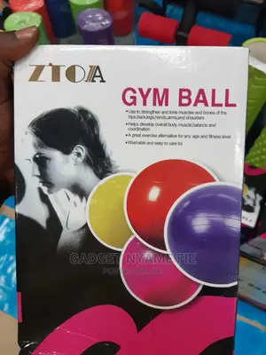 Gym Ball/Yoga Ball (65cm)