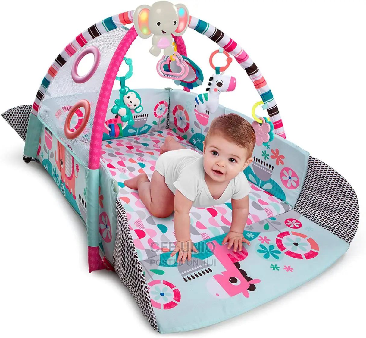 Activity Gym and Ball Pit