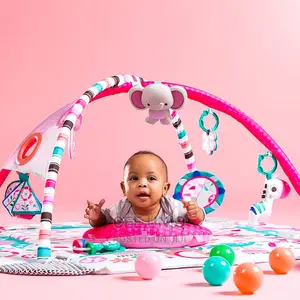 Activity Gym and Ball Pit