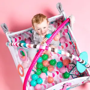 Activity Gym and Ball Pit