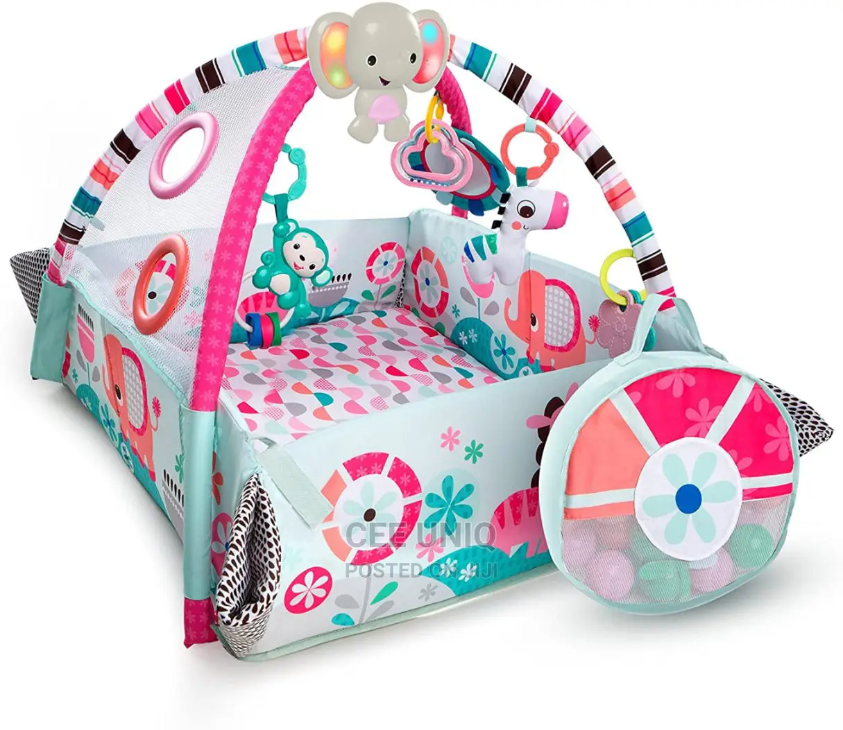 Activity Gym and Ball Pit