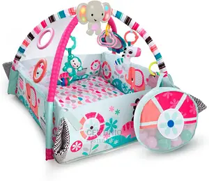 Activity Gym and Ball Pit