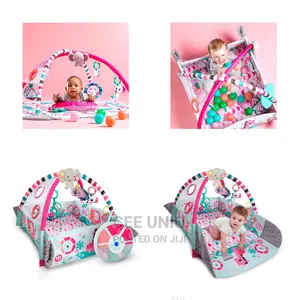 Activity Gym and Ball Pit