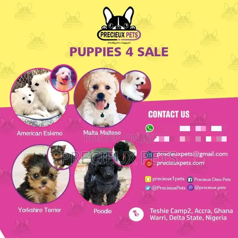 Puppy Sales and Stud Services Application