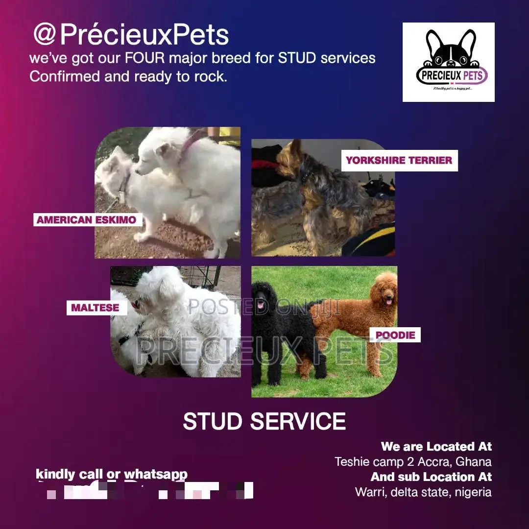 Puppy Sales and Stud Services Application