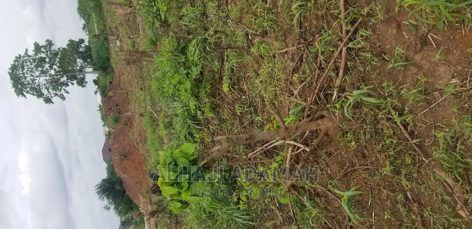 Plot for Sale at Kumasi Santasi Darko
