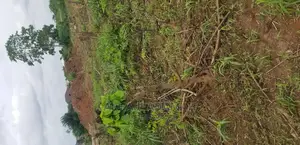 Plot for Sale at Kumasi Santasi Darko