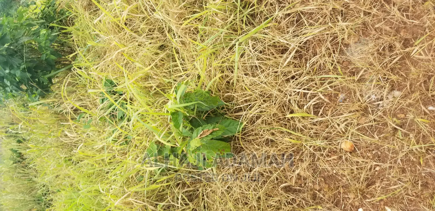 Plot for Sale at Kumasi Santasi Darko