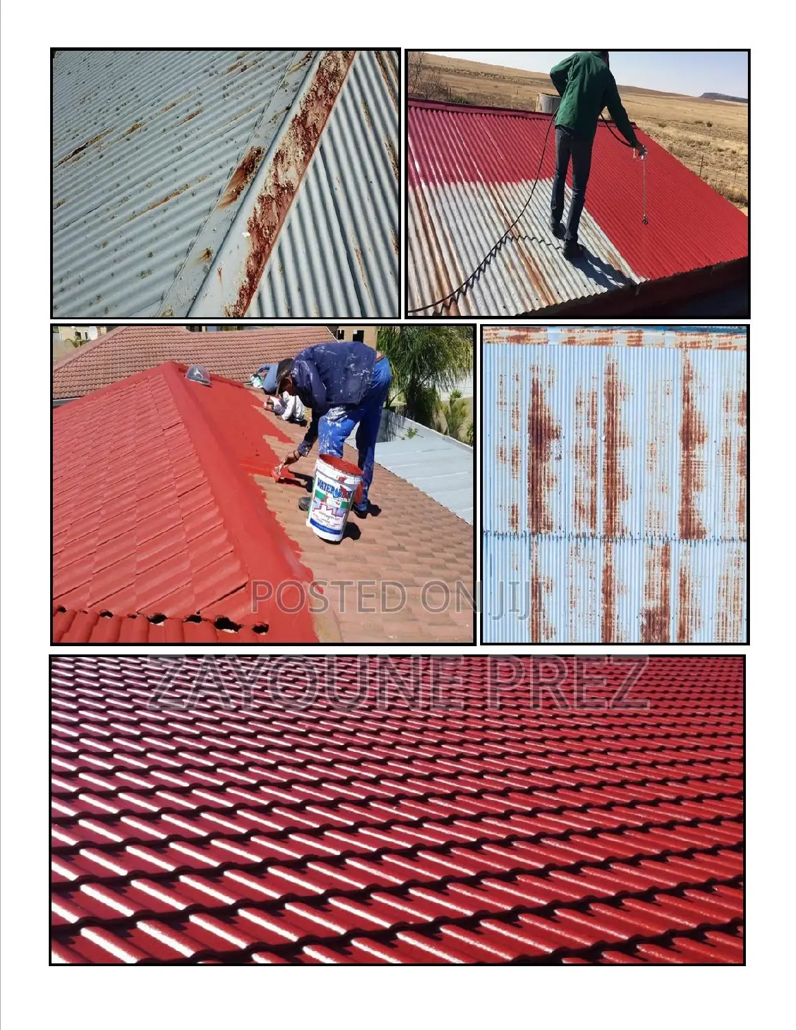 Roof Painting / Spraying