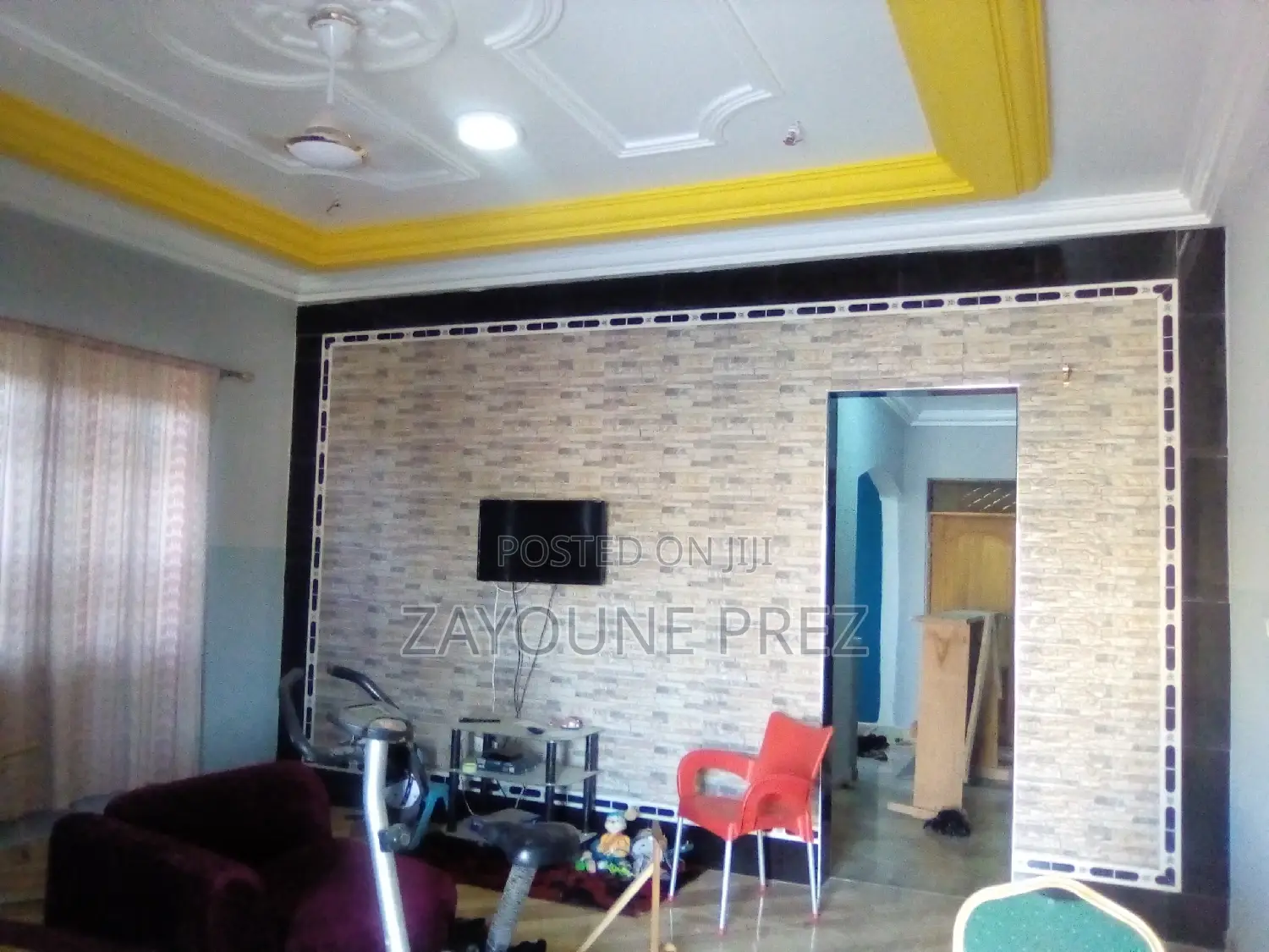 Professional Painters