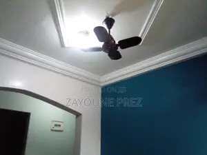Professional Painters